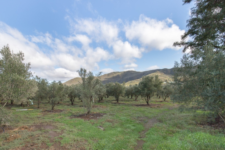 7 Bedroom Property for Sale in Barrydale Western Cape